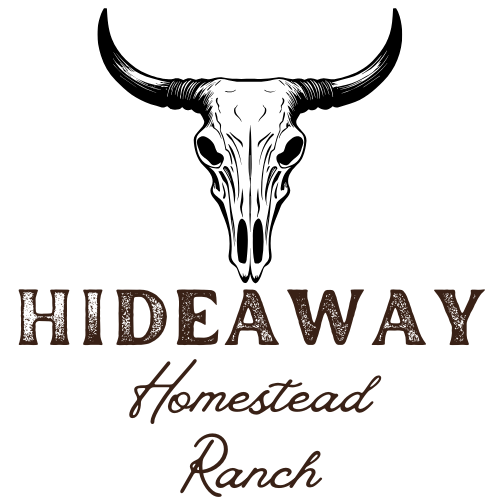 A New Chapter: From Off the Beaten Path to Hideaway Homestead Ranch