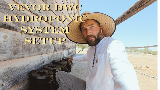 Hydroponics on the Homestead: Testing the VEVOR DWC System