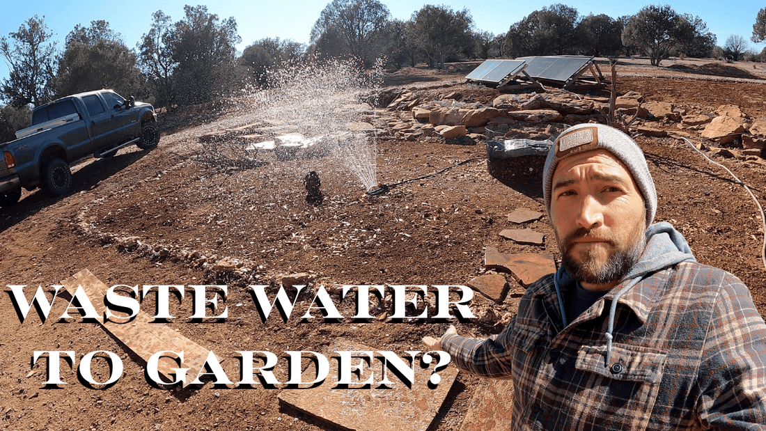 Turning Laundry Water Into Irrigation: Our Off-Grid Gray Water System