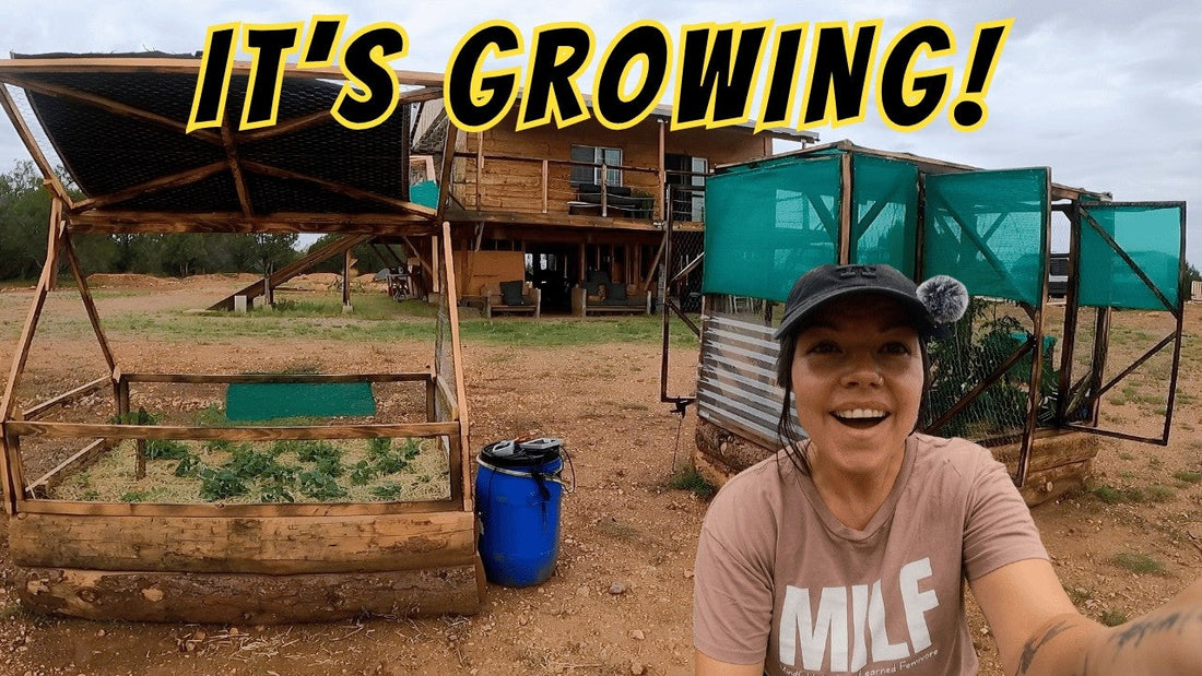 Our Off-Grid Garden Update: Building a Garden That Can Handle Arizona